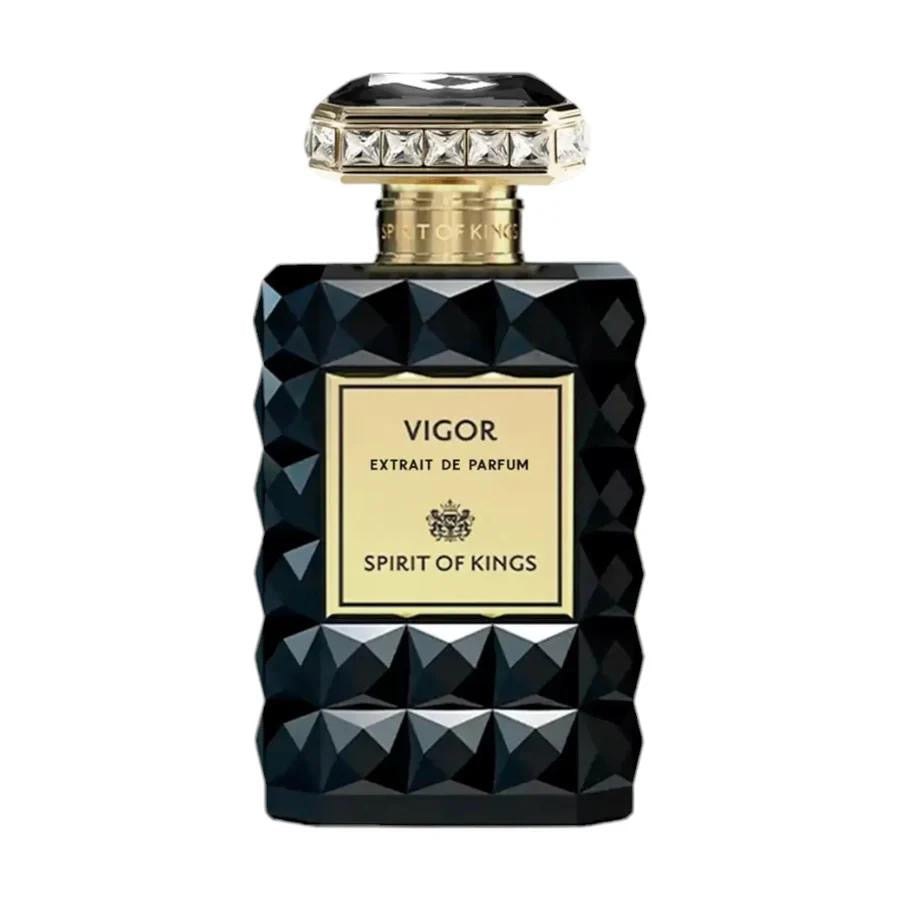 SPIRIT OF KINGS - VIGOR